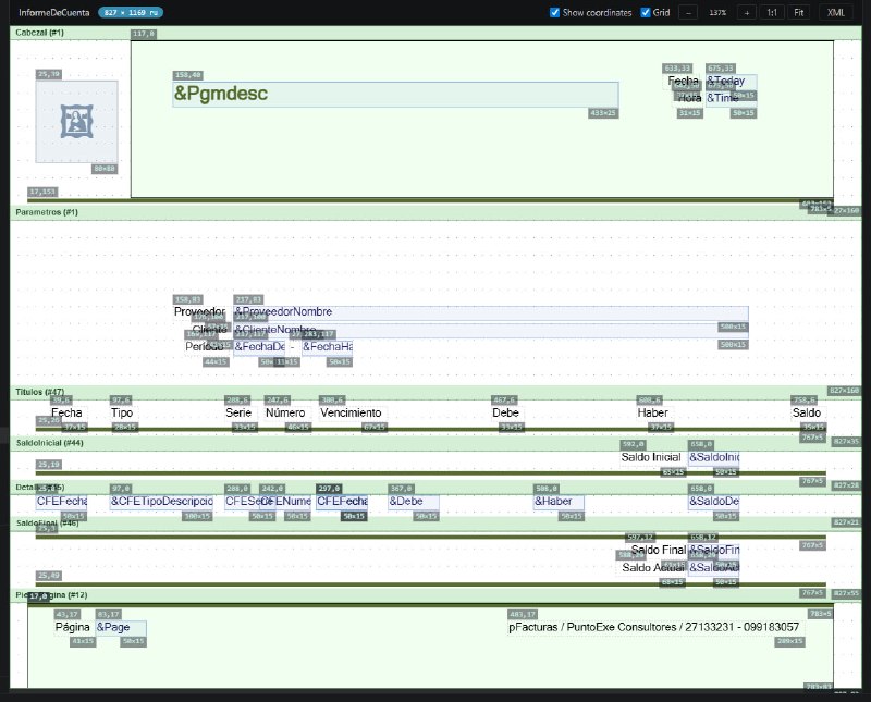 With Show coordinates every control displays its position and size — what makes a precision layout editable.